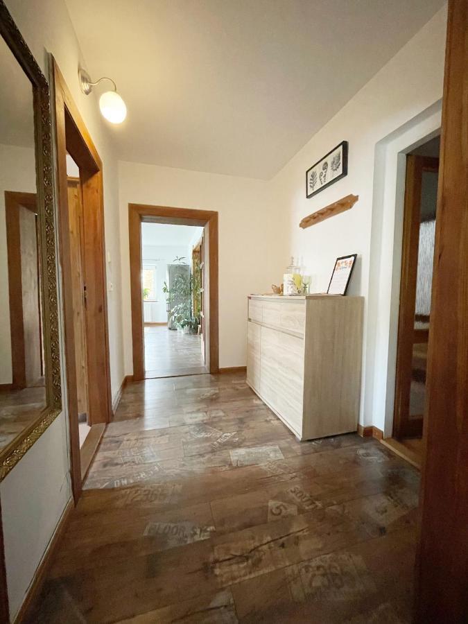 Krasny Apartman V Brane Luzickych Hor Cvikov ภายนอก รูปภาพ